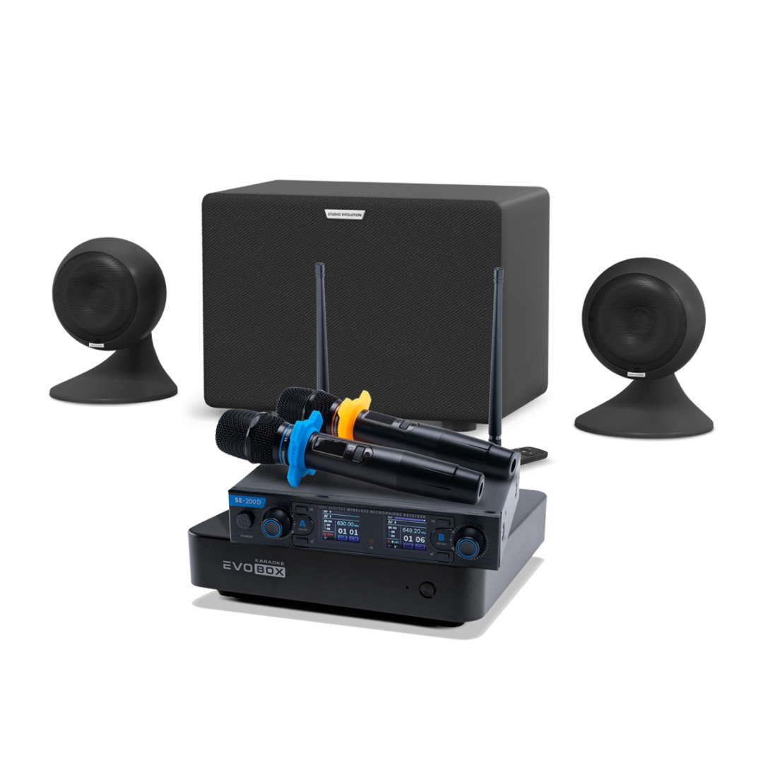 караоке-комплект EVOBOX + EvoSound Sphere 2.1 в Кисловодске
