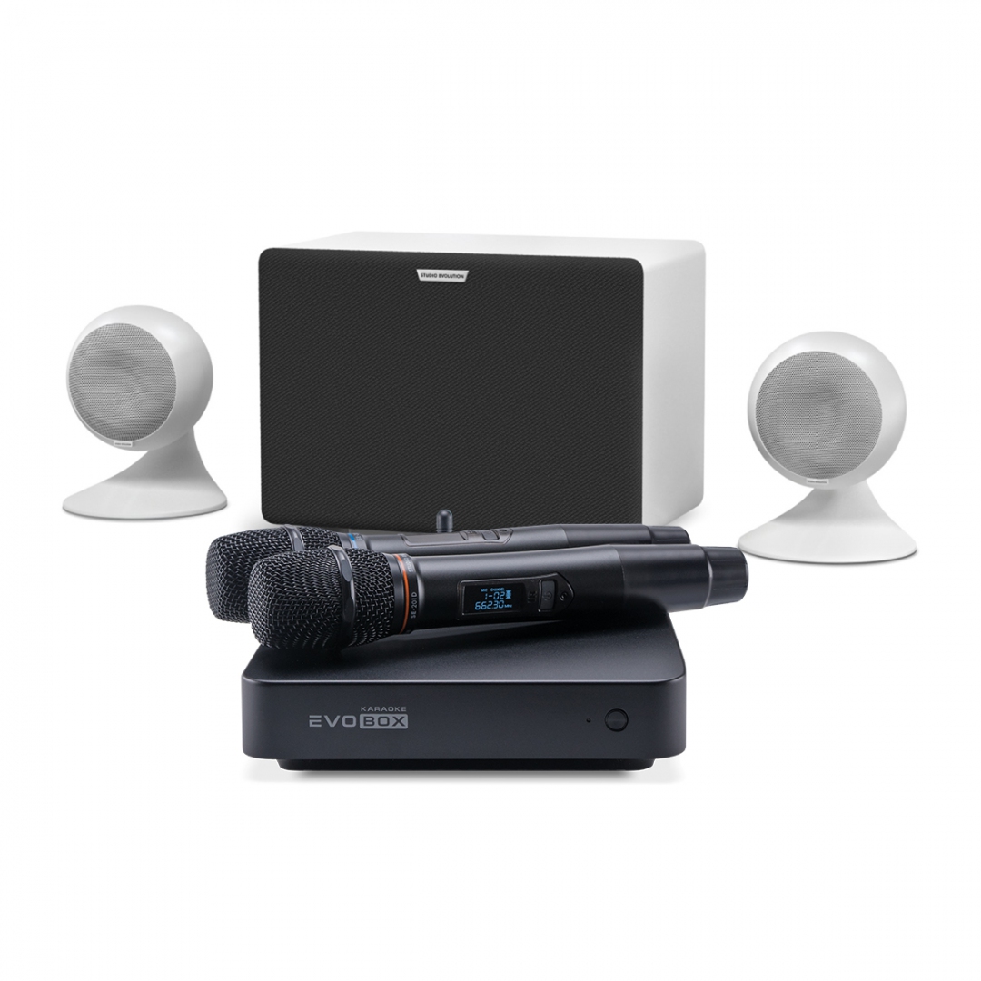 караоке-комплект EVOBOX Classic + EvoSound Sphere 2.1 в Кисловодске