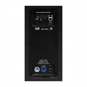 Активная акустическая система AST-310A в Кисловодске
