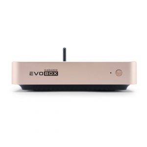 EVOBOX Plus караоке-система для дома в Кисловодске
