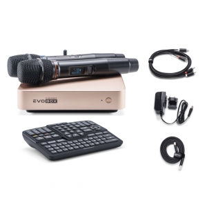 EVOBOX Plus караоке-система для дома в Кисловодске